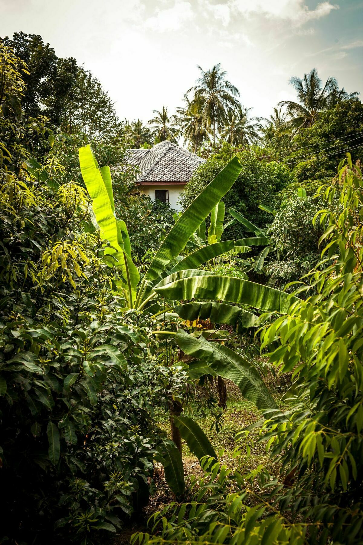 Cashew Nut Village Bophut Kültér fotó